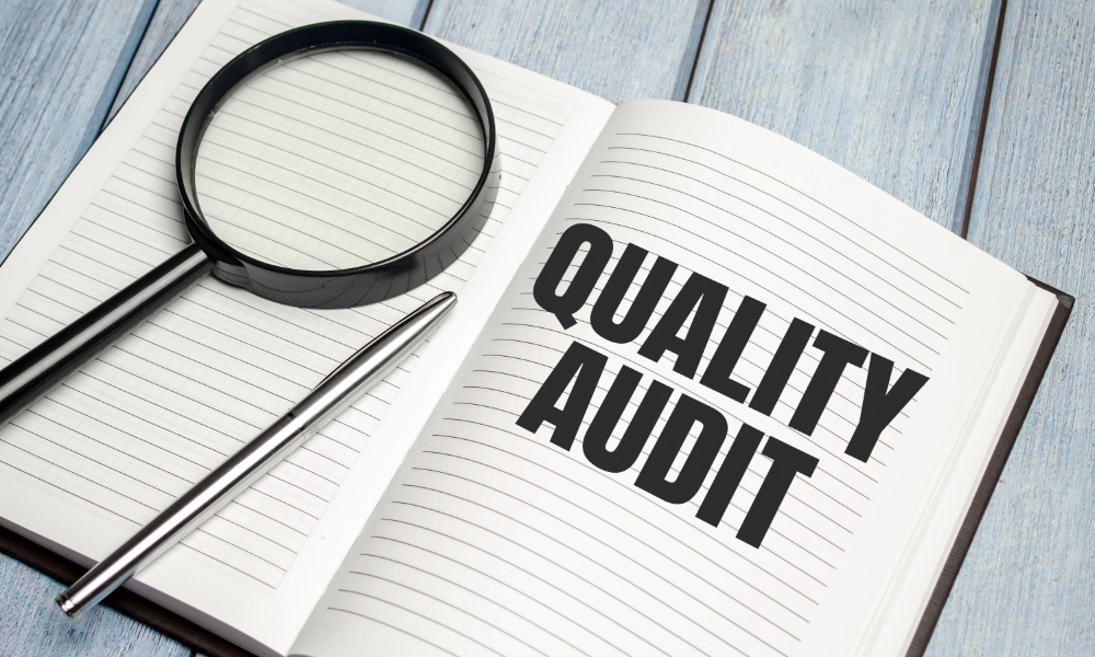Good Distribution Practice - Auditing